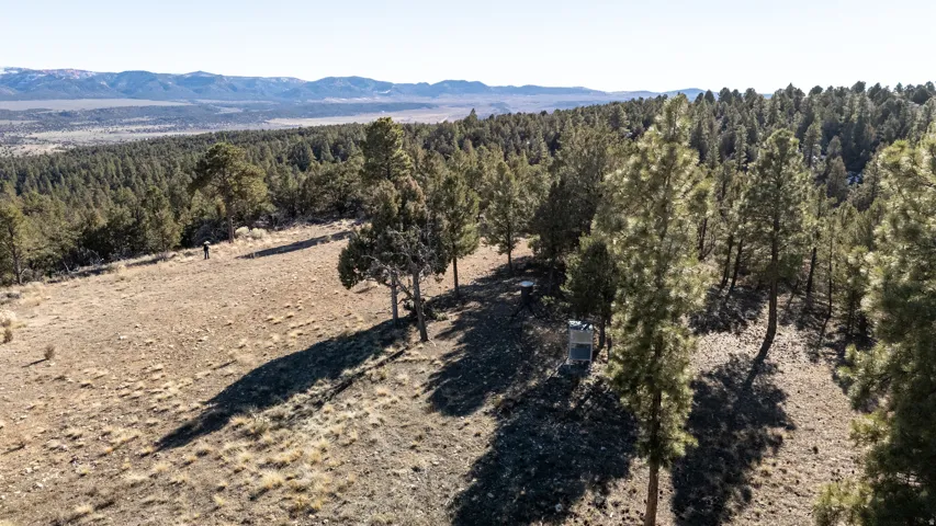 Expansive acreage featuring a sloped terrain, abundant pine trees, scattered brush, a distant mountain range, and a clear sky