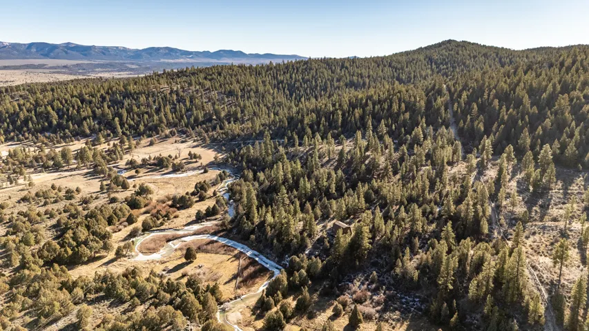 Expansive aerial showcasing a meandering river bordered by dense evergreen forests and open grassy meadows