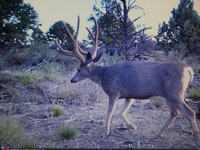 1955 W Mammoth Creek Rd, Hatch, Utah 84735