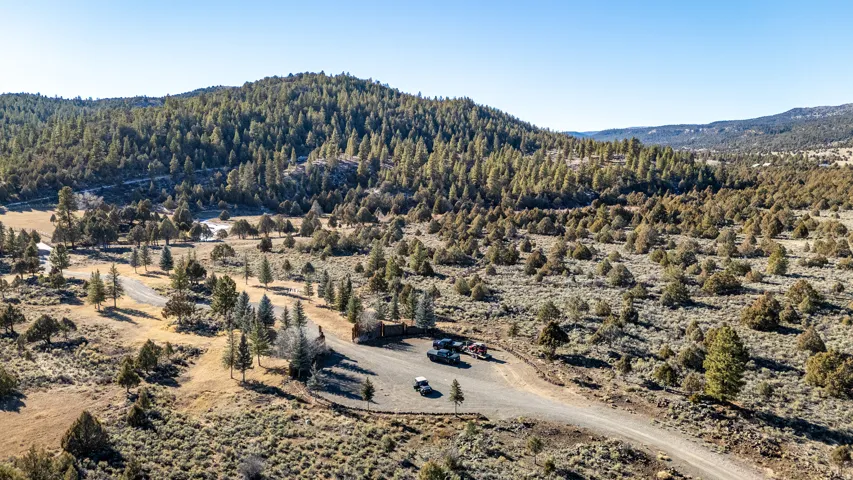 Expansive mountain and valley landscape featuring numerous evergreen trees, varied ground cover, and a clear sky backdrop