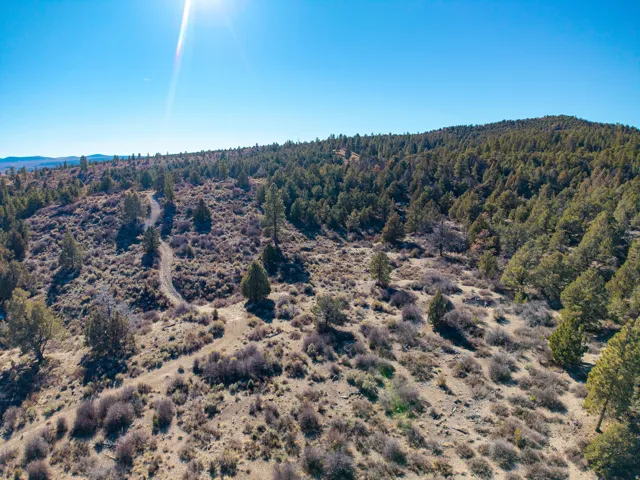 Expansive terrain featuring varied topography, mature evergreen trees, and natural desert shrubbery