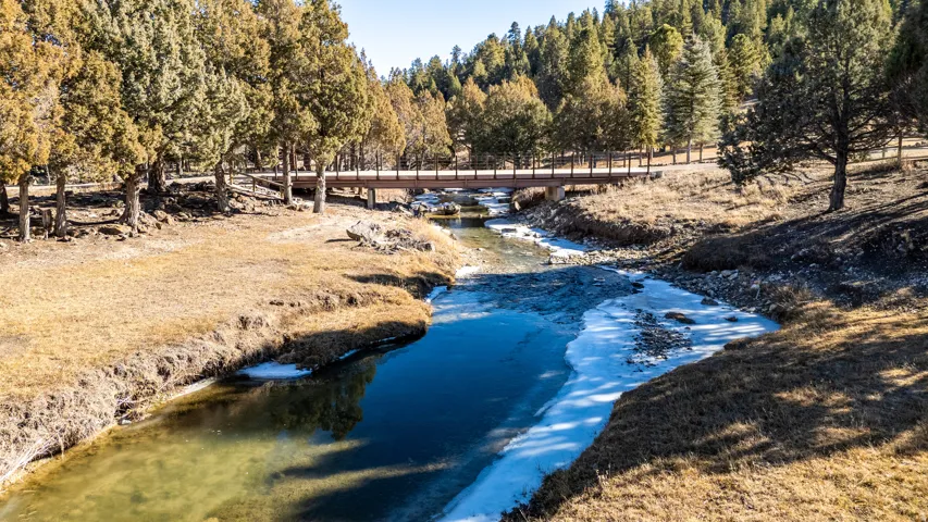 Natural landscape featuring a river with partial ice cover, a wooden pedestrian bridge, and surrounding evergreen trees
