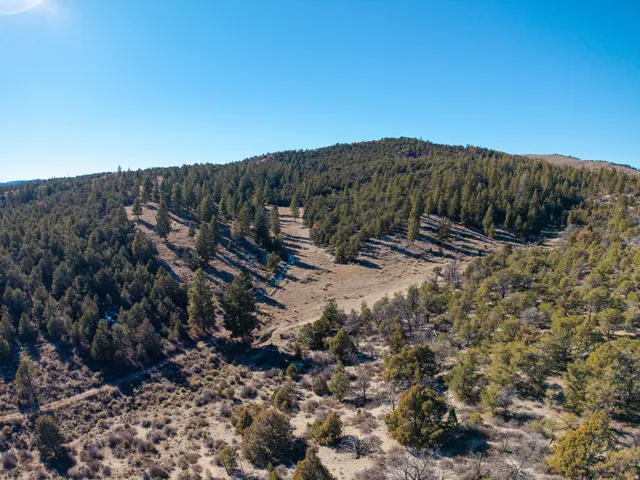 Expansive mountainous terrain featuring a mix of mature evergreen and deciduous trees