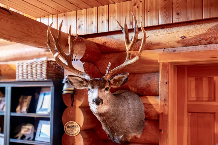 1955 W Mammoth Creek Rd, Hatch, Utah 84735