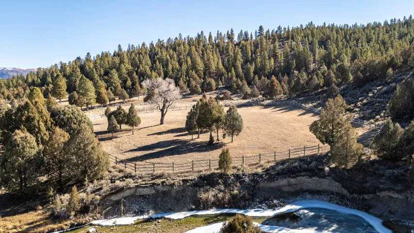 Expansive natural landscape featuring a fenced pasture area, mature evergreen trees, a wooded hillside, and a partially frozen body of water