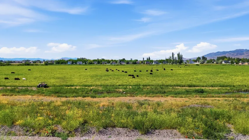 1388 Willow Lakes Dr, Logan, Utah 84321