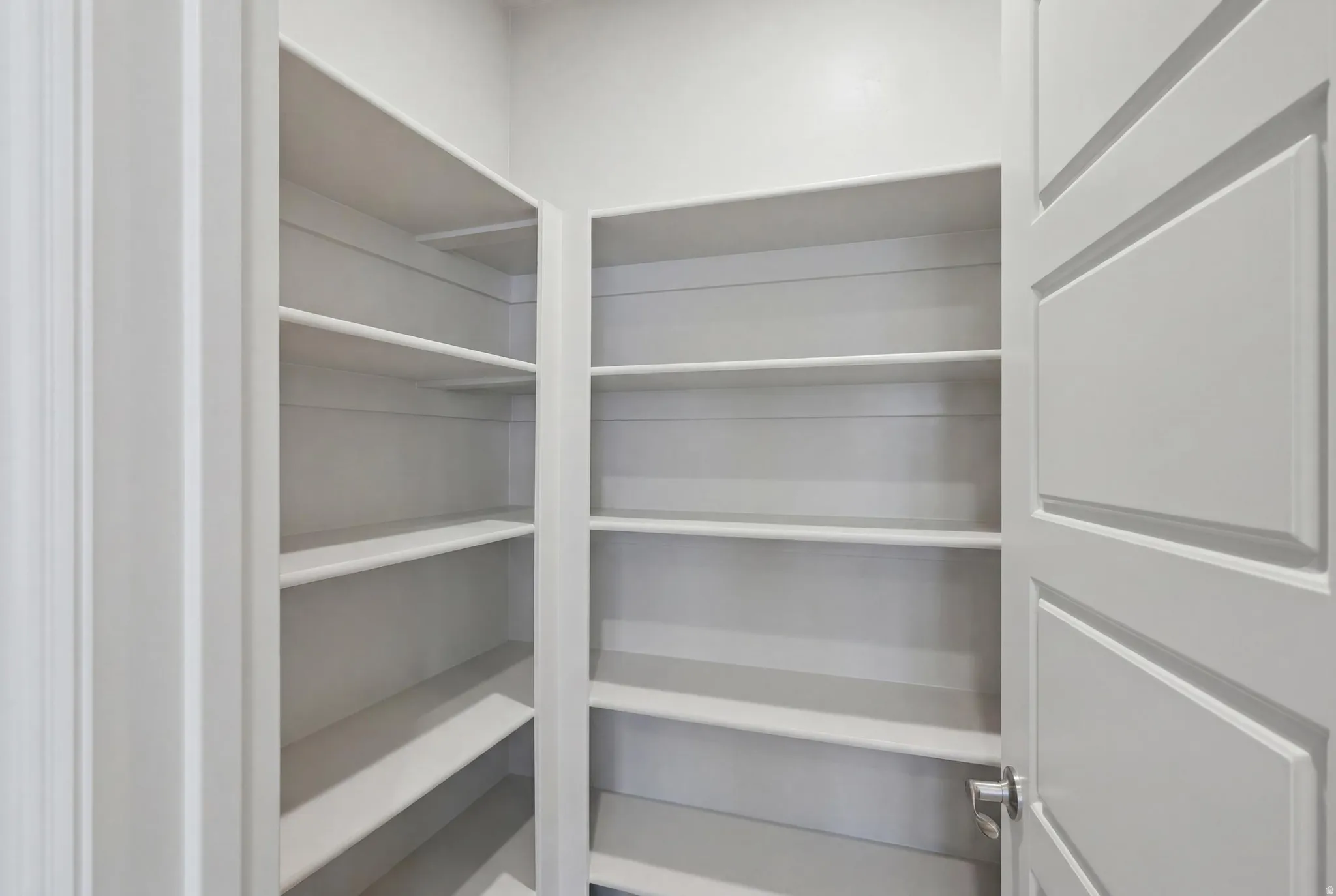 Spacious pantry featuring multiple built-in shelves, a paneled door, and neutral wall tones