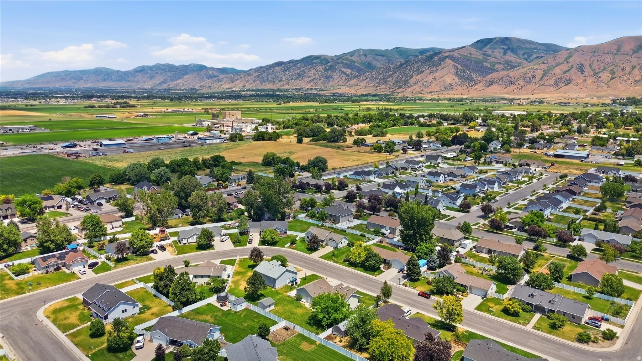 Residential neighborhood featuring single-story homes with established landscaping