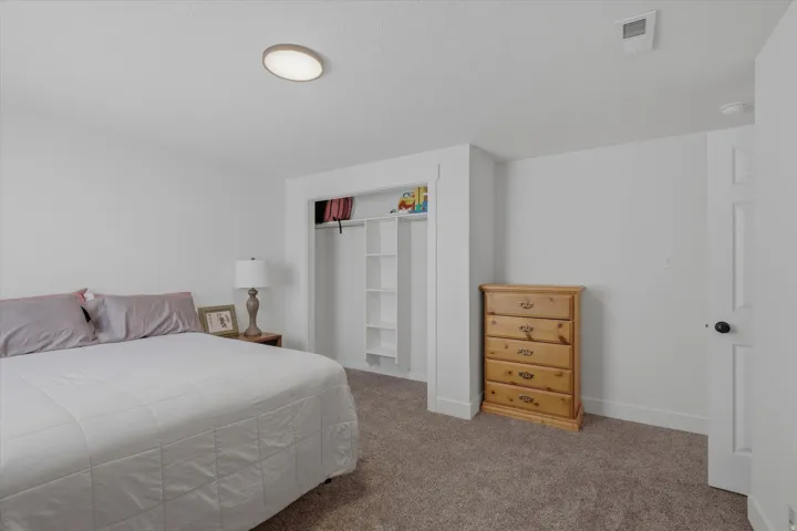 Carpeted room with a built-in closet featuring shelving, white trim, and a flush-mount ceiling light fixture