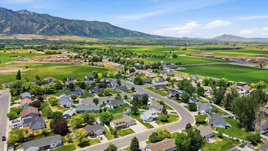 Established residential community featuring mature trees and paved streets