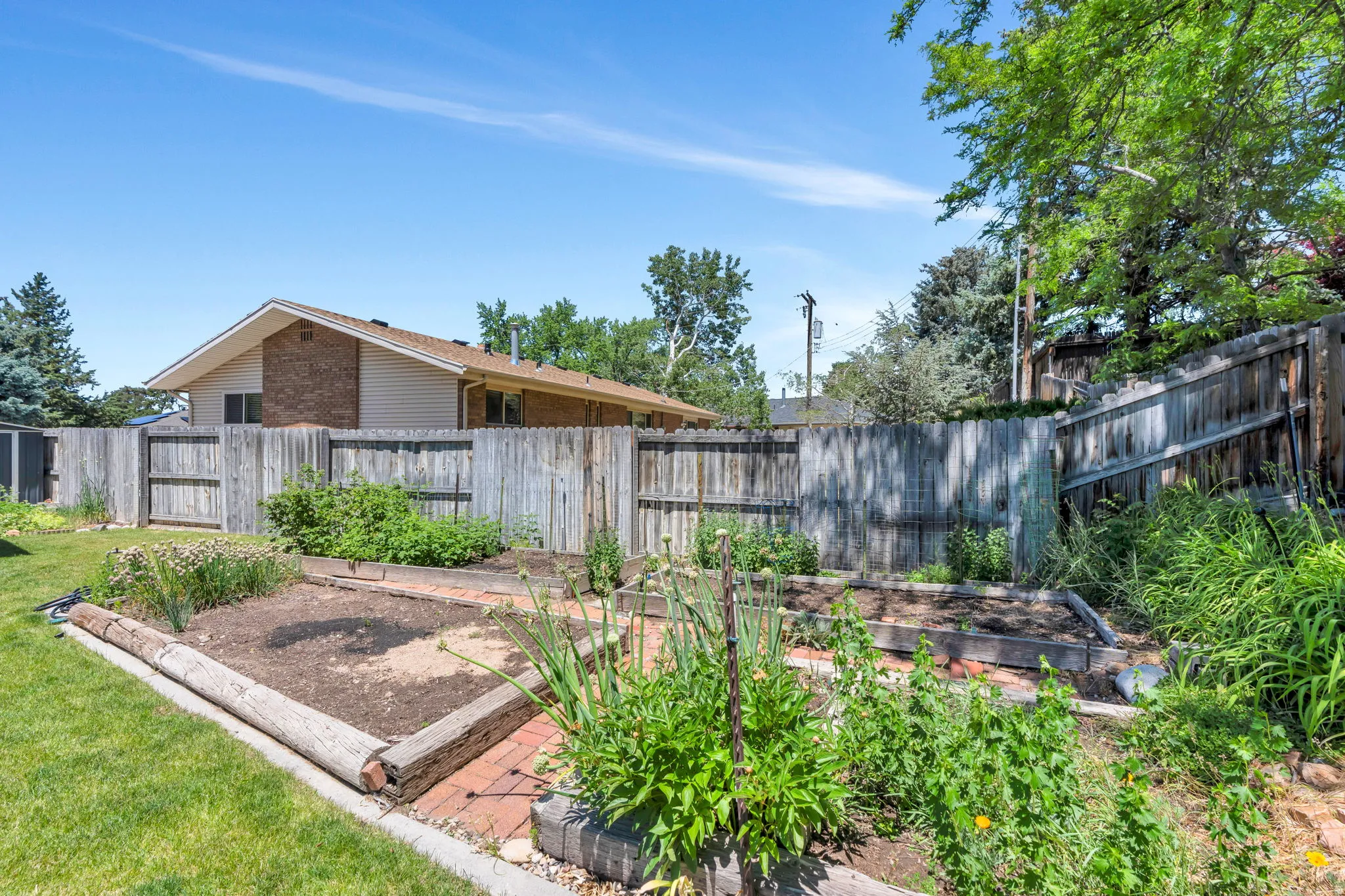 Expansive backyard featuring a manicured lawn, raised garden beds with brick paver paths, and a privacy fence