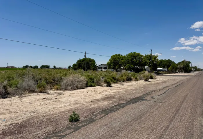 Expansive land parcel featuring natural shrubbery and mature trees in the background