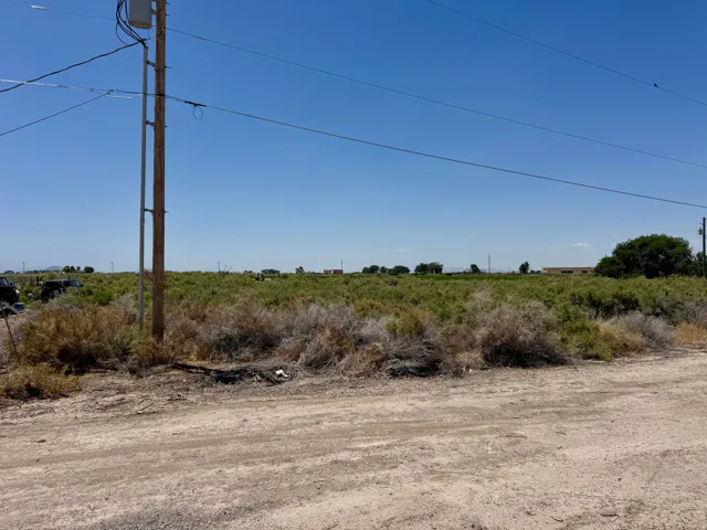 Expansive lot featuring a wide, unpaved road frontage, mature natural vegetation, and a clear, open sky