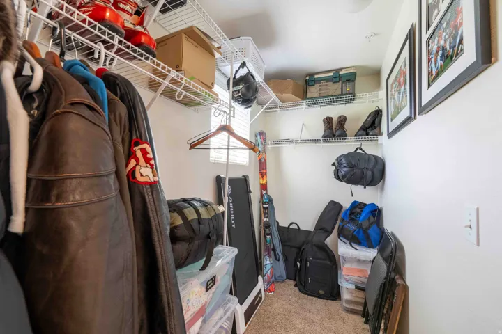 Walk-in closet featuring carpet flooring, built-in wire shelving, and a wall-mounted light fixture
