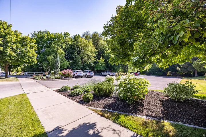 Paved walkway bordering a landscaped garden bed with various shrubs and flowering plants
