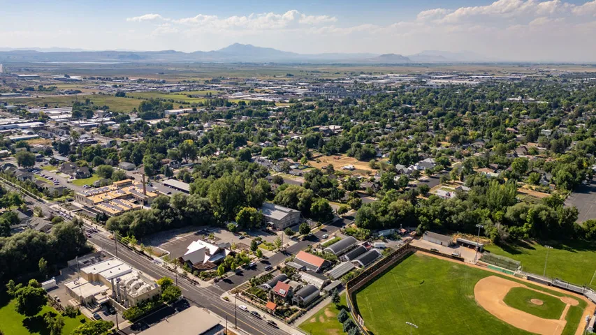 Expansive aerial perspective showcasing a mature residential area with abundant tree cover