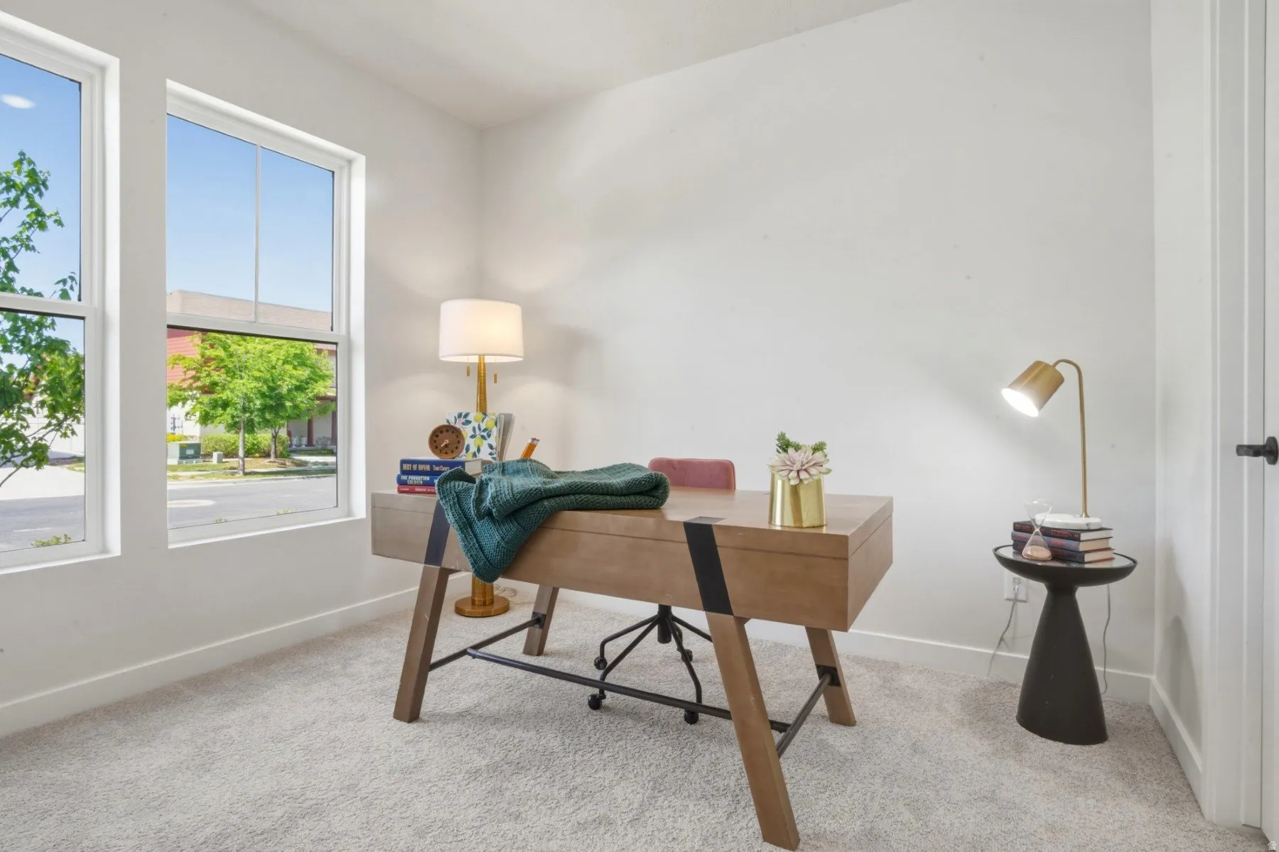 Bright interior space featuring two large sash windows, light-colored carpet, white baseboards, and a white interior door with a black handle