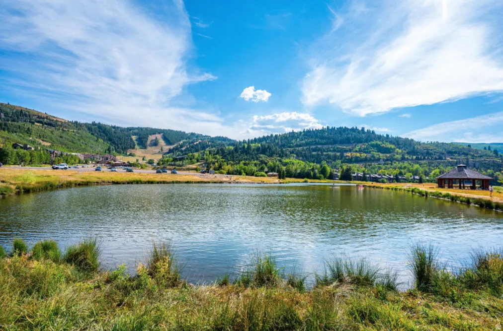 Expansive pond with surrounding natural landscaping
