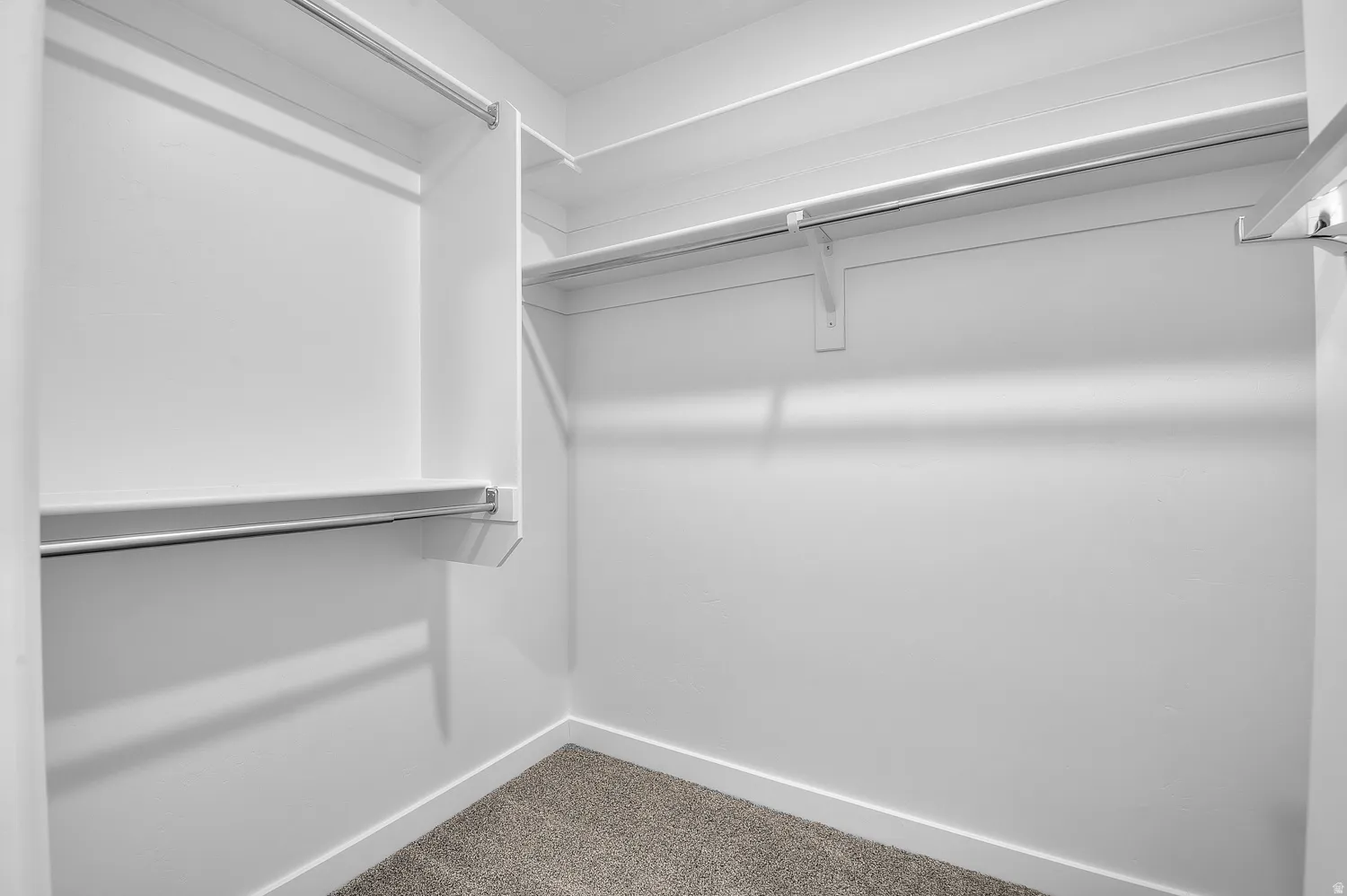 Walk-in closet with carpet flooring, white walls, and built-in white shelving