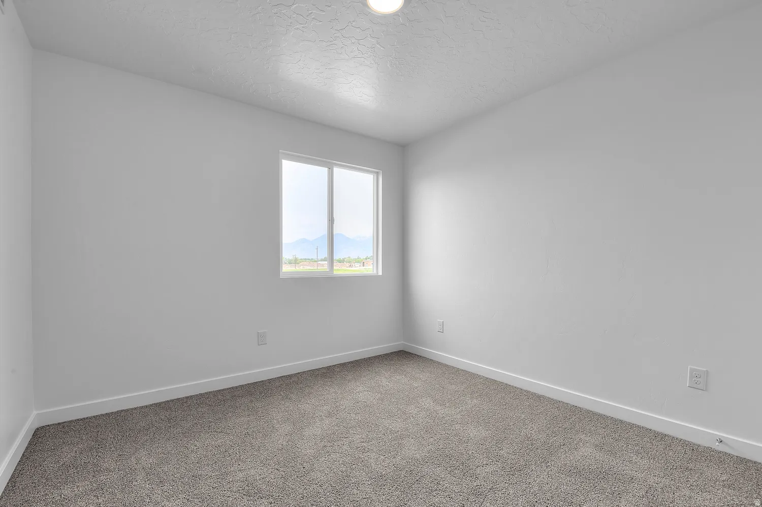 Neutral-toned carpeting paired with white walls, baseboards, and trim