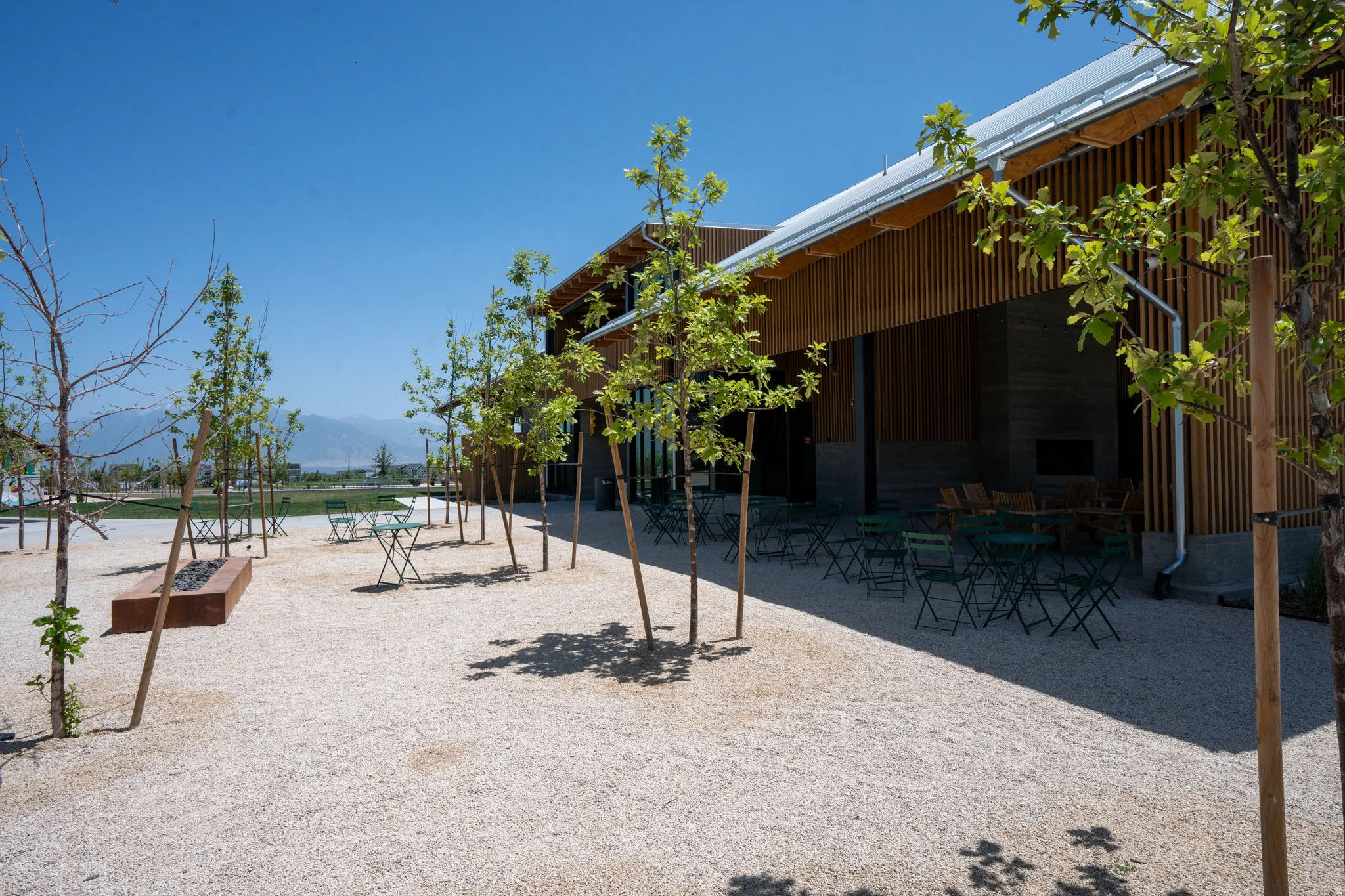 Contemporary exterior featuring natural wood slat siding and a white metal roof with gutters