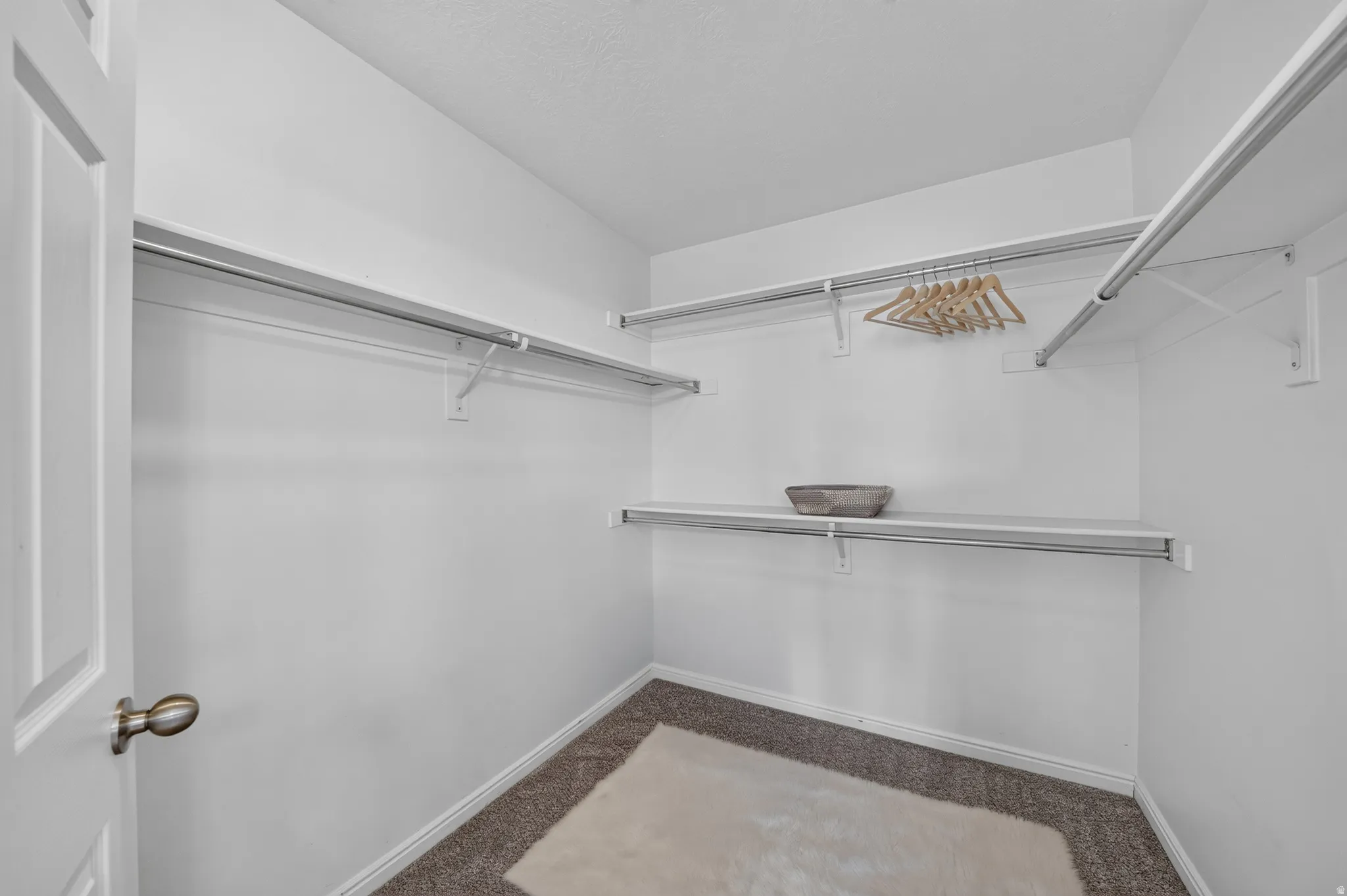 Walk-in closet featuring white walls, multi-level shelving, chrome hanging rods, and carpet flooring