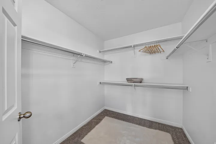Walk-in closet featuring white walls, multi-level shelving, chrome hanging rods, and carpet flooring