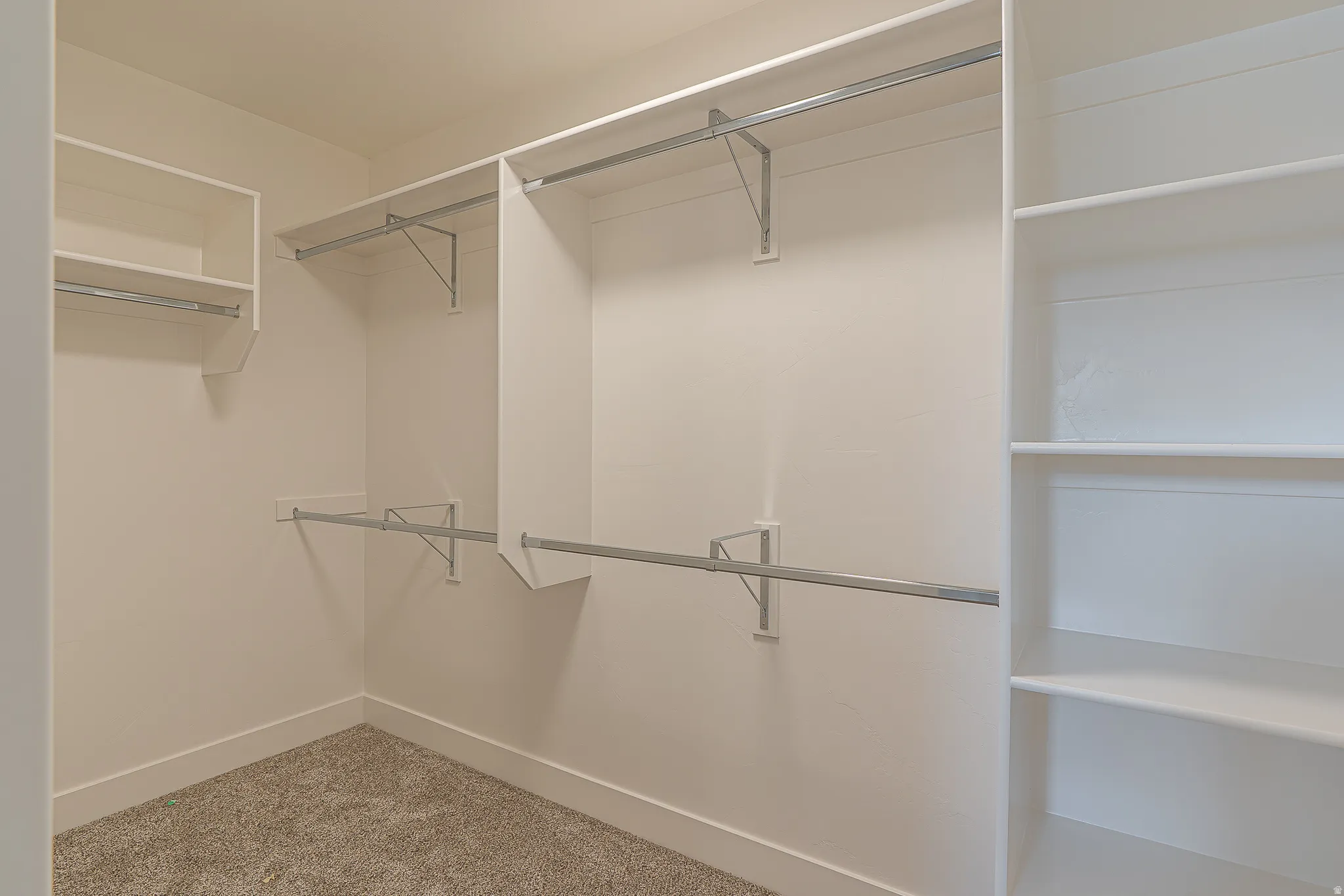 Walk-in closet featuring built-in shelving, multiple hanging rods, and light-colored carpeting