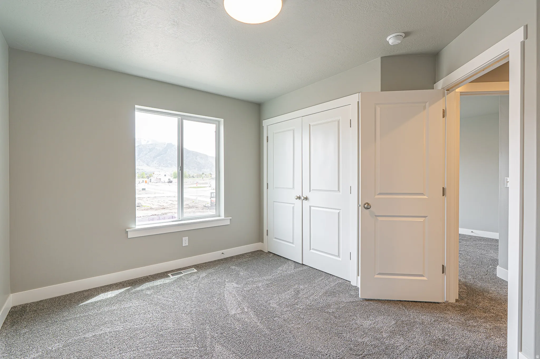 Neutral-toned room featuring a large window with mountain scenery, gray carpeting, dual closet doors, and crisp white trim