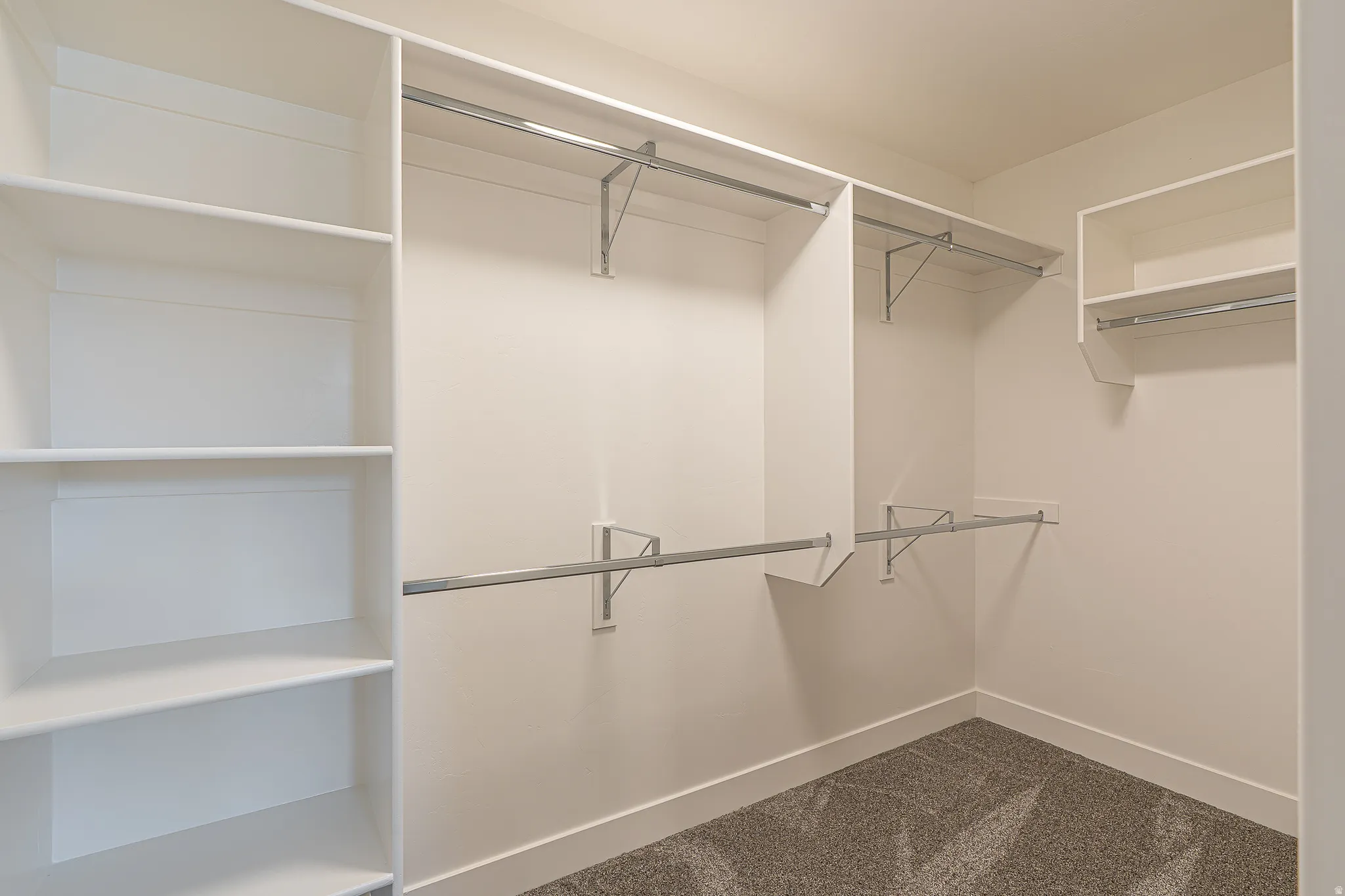 Walk-in closet featuring built-in shelving, multiple hanging rods, white wall finishes, white trim, and gray carpet flooring