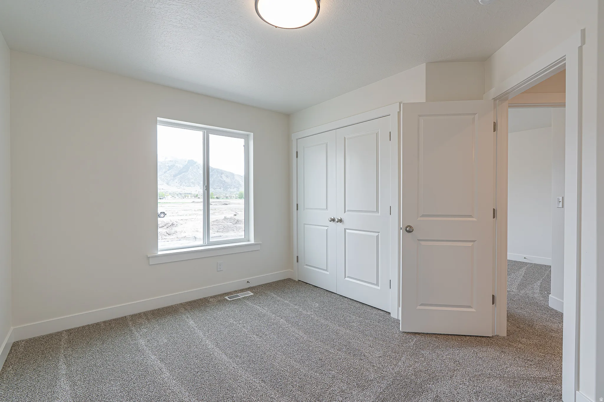 Carpeted interior space featuring a double-panel window with a mountain backdrop