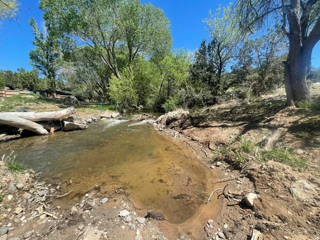 Natural water feature with surrounding mature trees, varied terrain, and clear blue sky