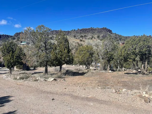 Expansive undeveloped land featuring a gravel surface and scattered evergreen trees