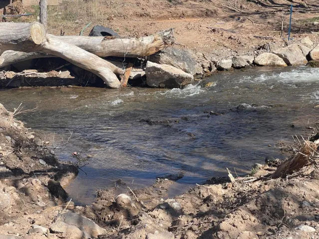 Natural water feature with visible water flow