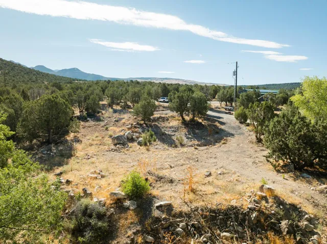 Expansive outdoor landscape featuring abundant natural vegetation, a natural terrain driveway, distant mountain ranges, and a body of water in the background