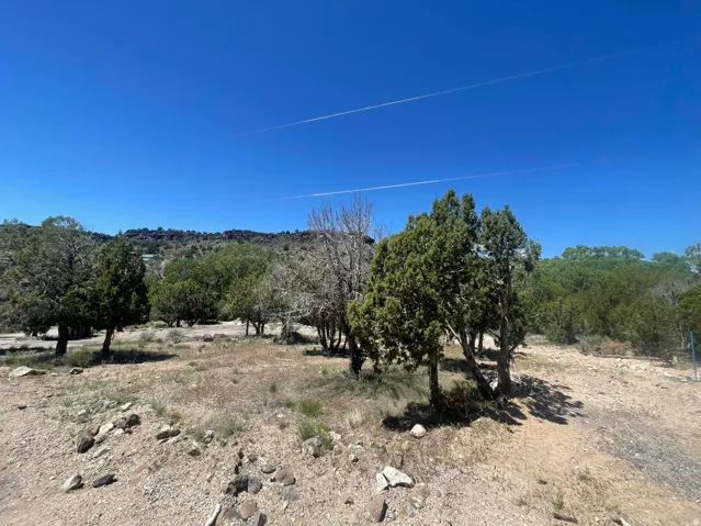 Expansive undeveloped land featuring natural vegetation and distant hills