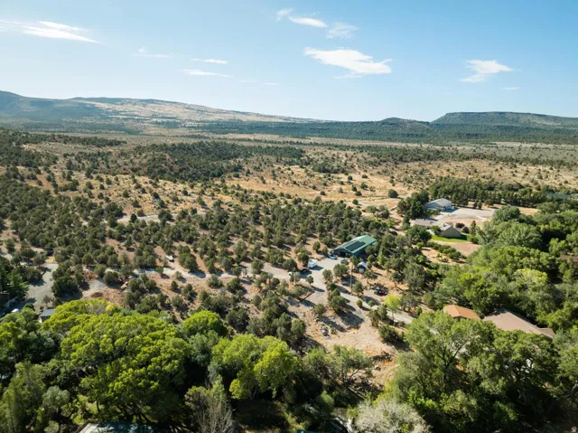 Expansive natural landscape featuring scattered green trees and distant mountainous terrain under a clear sky