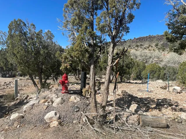 Natural landscape featuring mature evergreen trees, a prominent red fire hydrant, and distant hills under a clear blue sky