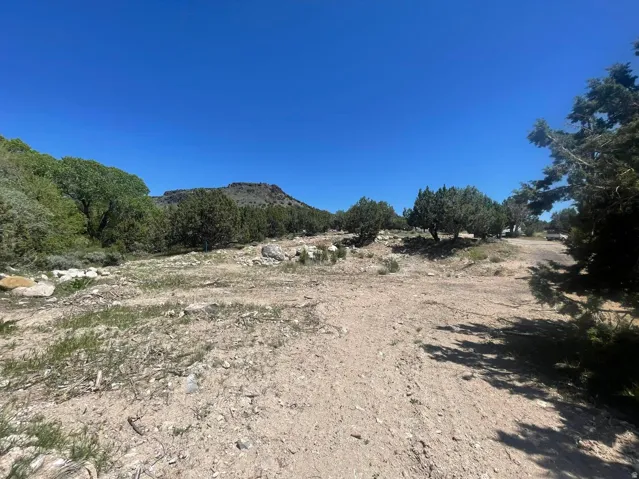 Expansive natural landscape featuring a prominent mountain backdrop, scattered trees, and a clear, unpaved path