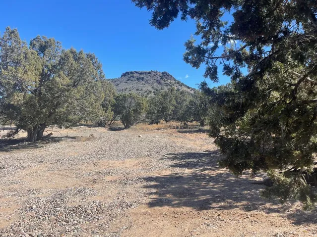 Expansive natural landscape featuring scattered mature trees, a gravel and dirt ground surface, and distant mountainous terrain