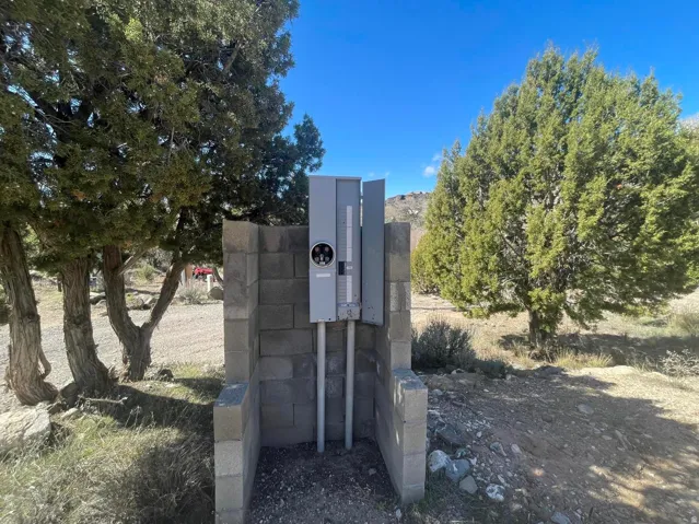 Outdoor electrical utility panel enclosed by a concrete block structure, set against a backdrop of mature evergreen trees and natural ground cover