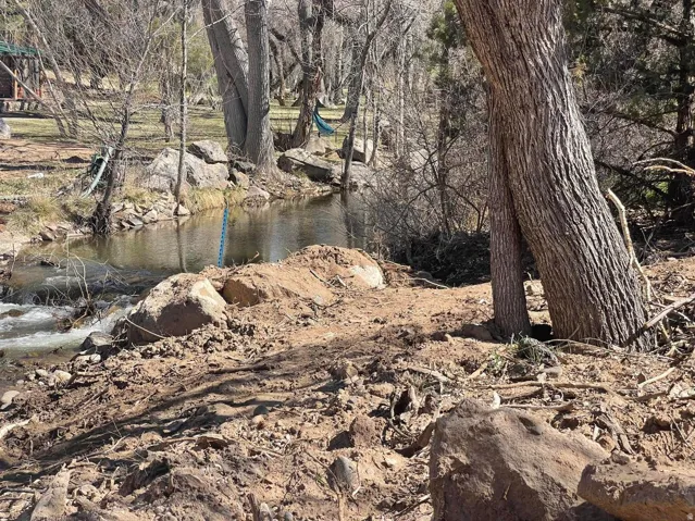 Natural water feature with a flowing stream, bordered by mature trees and natural rock formations