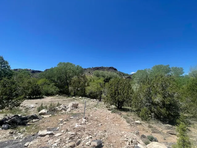 Expansive natural landscape featuring varied terrain and established trees