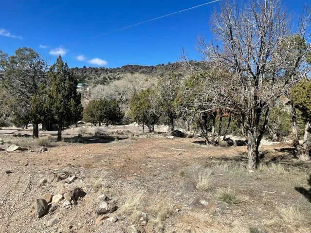 Expansive natural terrain featuring mature trees and distant rocky hills