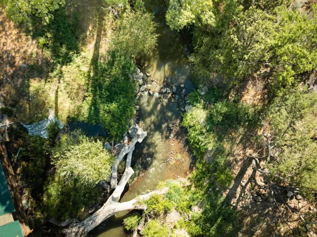 Natural water feature bordered by abundant mature trees and varied green foliage
