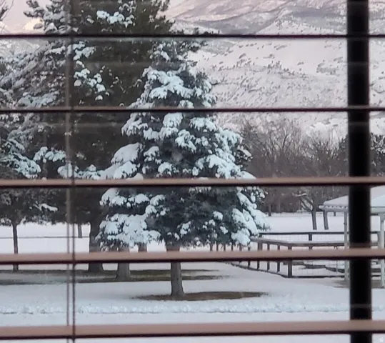 Snow-covered landscape featuring evergreen trees and distant mountains