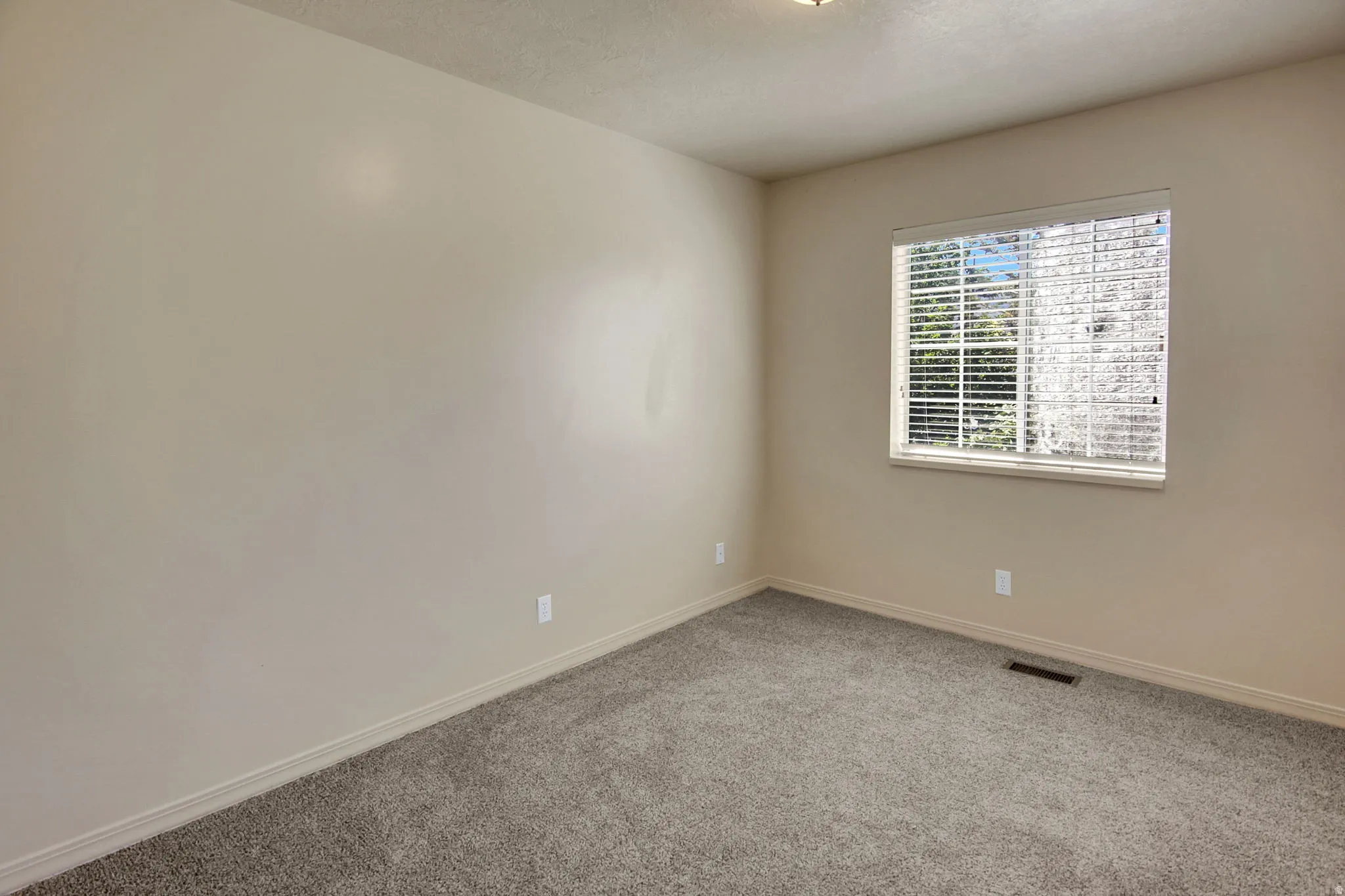Carpeted room with neutral wall paint and a single window featuring horizontal blinds