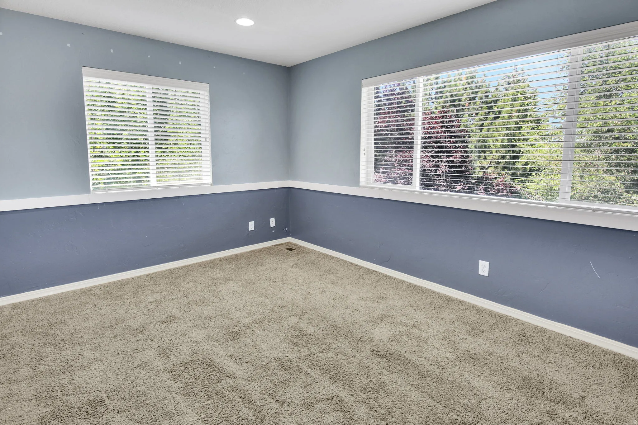 Spacious room featuring neutral carpeting and a two-tone wall treatment with a white chair rail