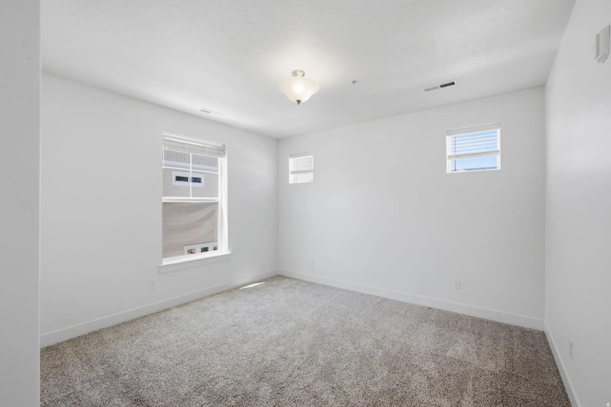 Neutral tone wall finishes, gray carpet flooring, white trim details, multiple windows with blinds, and a ceiling-mounted light fixture