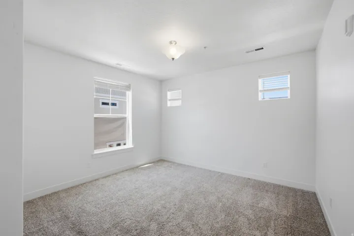 Neutral tone wall finishes, gray carpet flooring, white trim details, multiple windows with blinds, and a ceiling-mounted light fixture